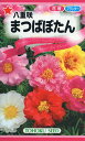 【全国送料無料】 八重咲まつばぼたん/ トーホク 野菜 ハーブ 草花 園芸 栽培 肥料 家庭菜園 球根 苗 種子 たね タネ ガーデニング 培養土 じょうろ 松永種苗 フタバ種苗 サカタのタネ タキイ種苗 連作障害★在庫がある商品のみ12時(土日祝を除く)までのご注文で当日出荷