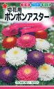 【全国送料無料】 切花用 ポンポンアスター/ トーホク 野菜 ハーブ 草花 園芸 栽培 肥料 家庭菜園 球根 苗 種まき 種子 たね タネ 植物 ガーデニング じょうろ 松永種苗 フタバ種苗 サカタのタネ タキイ種苗★在庫がある商品のみ12時(土日祝を除く)までのご注文で当日出荷