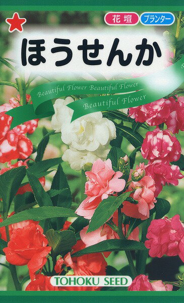 【全国送料無料】 ほうせんか/ トーホク 野菜 ハーブ 草花 園芸 栽培 肥料 家庭菜園 球根 苗 種まき 種子 たね タネ 植物 ガーデニング 培養土 ポット 松永種苗 フタバ種苗 サカタのタネ タキ…