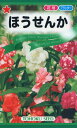 【全国送料無料】 ほうせんか/ トーホク 野菜 ハーブ 草花 園芸 栽培 肥料 家庭菜園 球根 苗 種まき 種子 たね タネ 植物 ガーデニング 培養土 ポット 松永種苗 フタバ種苗 サカタのタネ タキイ種苗 土壌改良★在庫がある商品のみ12時(土日祝を除く)までのご注文で当日出荷