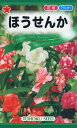 【全国送料無料】 ほうせんか/ トーホク 野菜 ハーブ 草花 園芸 栽培 肥料 家庭菜園 球根 苗 種まき 種子 たね タネ 植物 ガーデニング 培養土 ポット 松永種苗 フタバ種苗 サカタのタネ タキイ種苗 土壌改良★在庫がある商品のみ12時（土日祝を除く）までのご注文で当日出荷