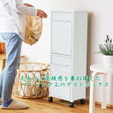【送料無料】ごみ箱 ダストボックス 40リットル 20リットル 2分別 タオルハンガー キッチン おしゃれ 分別 スリム キャスター付き ふた付き 屋外 S23-0591 S23-0592 S23-0593 ステンレス 清潔 防水 簡単手入 ホワイト ※北海道・九州・沖縄・離島は別途送料(3500円/税込)