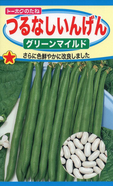 【全国送料無料】つるなしいんげん グリーンマイルド/ トーホク 野菜 ハーブ 草花 園芸 栽培 肥料 菜園 苗 種まき 種子 たね ガーデニング 培養土 松永種苗 フタバ種苗 サカタのタネ タキイ種…