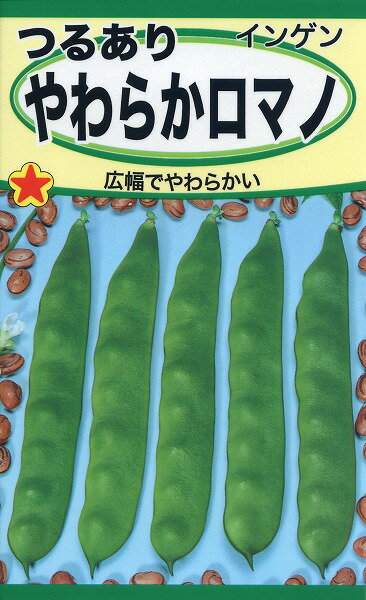 饤֥롡RELIABLE㤨̵֡ۤĤ뤢餫ޥΡ/ ȡۥ  ϡ     ڱ 庬  ޤ    ʪ ǥ˥  ݥå 礦 Ϣ㳲к ھ ڡ߸ˤ뾦ʤΤ12ˤˤޤǤΤʸв١פβǤʤ419ߤˤʤޤ