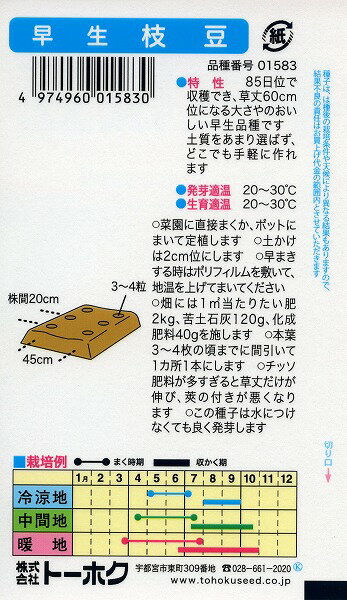 【5袋割引セット♪】【全国送料無料】早生枝豆　白鳥　/ トーホク 野菜 ハーブ 草花...