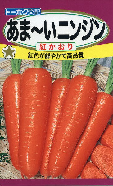 【全国送料無料】あま～いニンジン 紅かおり　/ トーホク 野菜 ハーブ 草花 園芸 栽培 肥料 家庭菜園 球根 苗 種まき 種子 たね タネ 植物 ガーデニング 松永種苗 フタバ種苗 サカタのタネ タキイ種苗 ★在庫がある商品のみ12時（土日祝を除く）までのご注文で当日出荷