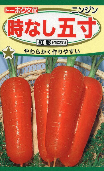 【全国送料無料】時なし五寸　紅彩(べにさい)にんじん　/ トーホク 野菜 ハーブ 草花 園芸 栽培 肥料 家庭菜園 球根 苗 種まき 種子 たね タネ 植物 ガーデニング 松永種苗 フタバ種苗 サカタのタネ タキイ★在庫がある商品のみ12時（土日祝を除く）までのご注文で当日出荷