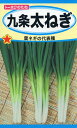 【全国送料無料】九条太ねぎ / トーホク 野菜 ハーブ 草花 園芸 栽培 肥料 家庭菜園 球根 苗 種まき 種子 たね タネ 植物 ガーデニング じょうろ 松永種苗 フタバ種苗 サカタのタネ タキイ種苗 連作障害対策★在庫がある商品のみ12時(土日祝を除く)までのご注文で当日出荷