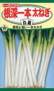 【全国送料無料】根深一本太ねぎ 白扇(はくせん) / トーホク 野菜 ハーブ 草花 園芸 栽培 肥料 家庭菜園 球根 苗 種まき 種子 たね タネ 植物 ガーデニング 松永種苗 フタバ種苗 サカタのタネ タキイ種苗 ★在庫がある商品のみ12時(土日祝を除く)までのご注文で当日出荷