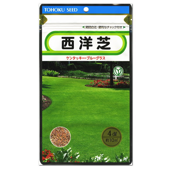 西洋芝 4dl　ケンタッキーブルーグラス/ トーホク 野菜 ハーブ 草花 園芸 栽培 肥料 家庭菜園 球根 苗 種まき 種子 たね タネ 植物 ガーデニング サカタのタネ タキイ★在庫がある商品のみ12時（土日祝を除く）までのご注文で当日出荷