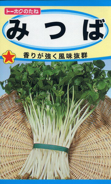 【全国送料無料】みつば 　/ トーホク 野菜 ハーブ 草花 園芸 栽培 肥料 家庭菜園 球根 苗 種まき 種子 たね タネ 植物 ガーデニング 培養土 ポット じょうろ 松永種苗 フタバ サカタのタネ タキイ種苗★在庫がある商品のみ12時（土日祝を除く）までのご注文で当日出荷