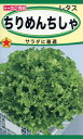 【全国送料無料】ちりめんちしゃ / トーホク 野菜 ハーブ 草花 園芸 栽培 肥料 家庭菜園 球根 苗 種まき 種子 たね タネ 植物 ガーデニング じょうろ 松永種苗 フタバ サカタのタネ タキイ種苗 連作障害★在庫がある商品のみ12時(土日祝を除く)までのご注文で当日出荷