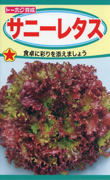 【全国送料無料】サニーレタス　/ トーホク 野菜 ハーブ 草花 園芸 栽培 肥料 家庭菜園 球根 苗 種まき 種子 たね タネ 植物 ガーデニング　ポット じょうろ 松永種苗 フタバ種苗 サカタのタネ タキイ種苗 ★在庫がある商品のみ12時（土日祝を除く）までのご注文で当日出荷