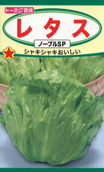 【全国送料無料】レタス ノーブルSP　/ トーホク 野菜 ハーブ 草花 園芸 栽培 肥料 家庭菜園 球根 苗 種まき 種子 たね タネ 植物 ガーデニング ポット 松永種苗 フタバ種苗 サカタのタネ タキイ種苗 ★在庫がある商品のみ12時（土日祝を除く）までのご注文で当日出荷