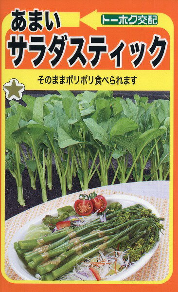 【全国送料無料】あまいサラダスティック　/ トーホク 野菜 ハーブ 草花 園芸 栽培 肥料 家庭菜園 球根 苗 種まき 種子 たね タネ 植物 ガーデニング じょうろ 松永種苗 フタバ種苗 サカタのタネ タキイ種苗 ★在庫がある商品のみ12時（土日祝を除く）までのご注文で当日出荷