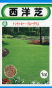 【全国送料無料】西洋芝 1dl ケンタッキーブルーグラス/ トーホク 野菜 ハーブ 草花 園芸 栽培 肥料 家庭菜園 球根 苗 種まき 種子 たね タネ 植物 ガーデニング 松永種苗 フタバ サカタのタネ タキイ★在庫がある商品のみ12時(土日祝を除く)までのご注文で当日出荷
