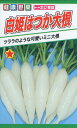 【全国送料無料】白姫はつか大根/ トーホク 野菜 ハーブ 草花 園芸 栽培 肥料 家庭菜園 球根 苗 種まき 種子 たね タネ 植物 ガーデニング 松永種苗 フタバ種苗 サカタのタネ タキイ種苗 連作障害対策 ★在庫がある商品のみ12時（土日祝を除く）までのご注文で当日出荷