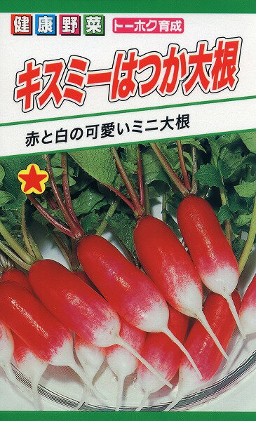 【全国送料無料】キスミーはつか大根/ トーホク 野菜 ハーブ 草花 園芸 栽培 肥料 家庭菜園 球根 苗 種まき 種子 たね タネ 植物 ガーデニング じょうろ 松永種苗 フタバ種苗 サカタのタネ タキイ種苗 腐葉土★在庫がある商品のみ12時（土日祝を除く）までのご注文で当日出荷