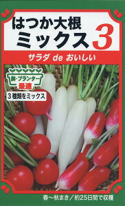 【全国送料無料】はつか大根ミックス　3/ トーホク 野菜 ハーブ 草花 園芸 栽培 肥料 家庭菜園 球根 苗 種まき 種子 たね タネ 植物 ガーデニング じょうろ 松永種苗 フタバ種苗 サカタのタネ タキイ種苗 ★在庫がある商品のみ12時（土日祝を除く）までのご注文で当日出荷