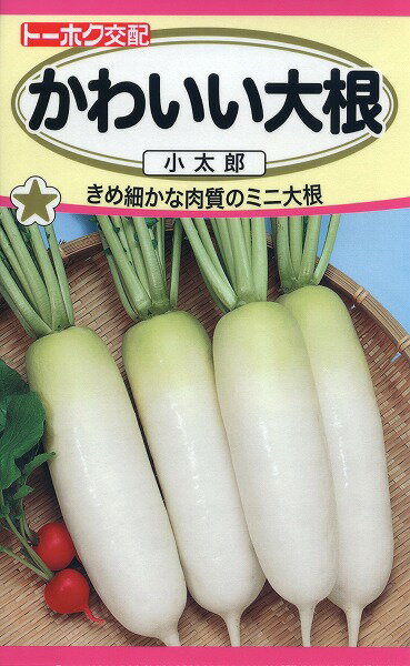 【全国送料無料】かわいい大根 小太郎/ トーホク 野菜 ハーブ 草花 園芸 栽培 肥料 家庭菜園 球根 苗 種まき 種子 たね タネ 植物 ガーデニング 培養土 じょうろ 松永種苗 フタバ サカタのタネ…