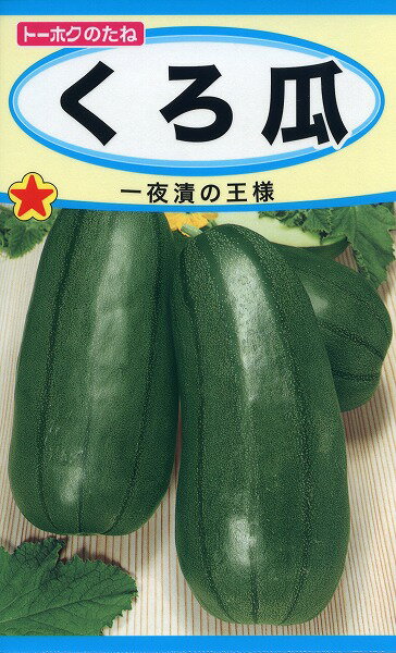 【全国送料無料】くろ瓜 / トーホク 野菜 ハーブ 草花 園芸 栽培 肥料 家庭菜園 球根 苗 種まき 種子 たね タネ 植物 ガーデニング 培養土 じょうろ 松永種苗 フタバ種苗 サカタのタネ タキイ…