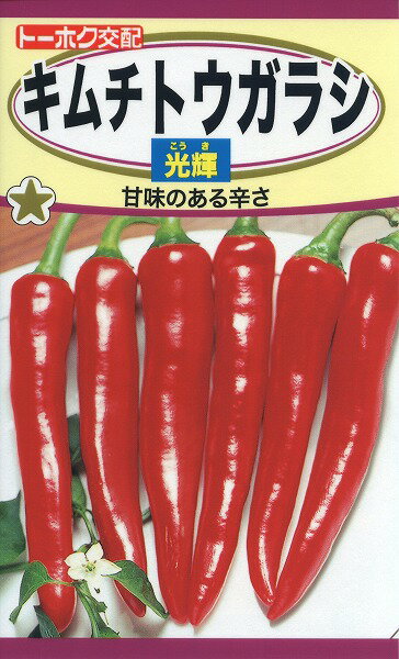 【全国送料無料】キムチトウガラシ 光輝 こうき / トーホク 野菜 ハーブ 草花 園芸 栽培 肥料 家庭菜園 球根 苗 種まき 種子 たね タネ 植物 ガーデニング 松永種苗 フタバ種苗 サカタのタネ …