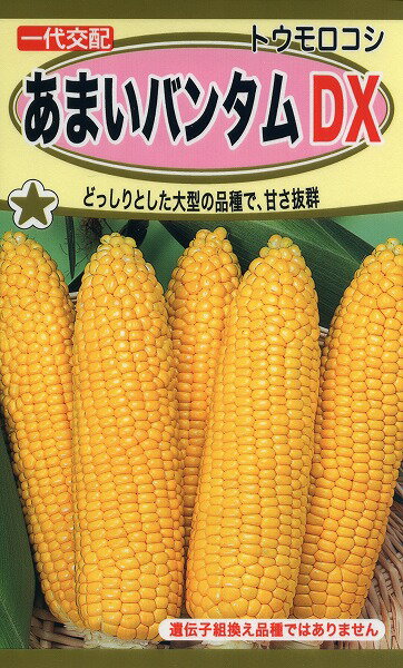 あまいバンタムDX/トーホク野菜ハ...