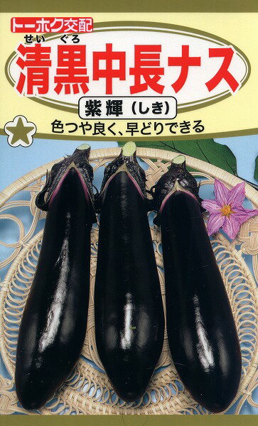 【全国送料無料】清黒中長ナス　紫輝（しき）/ トーホク 野菜 ハーブ 草花 園芸 栽培 肥料 家庭菜園 球根 苗 種まき 種子 たね タネ ガーデニング じょうろ 松永種苗 フタバ種苗 サカタのタネ タキイ種苗★在庫がある商品のみ12時（土日祝を除く）までのご注文で当日出荷