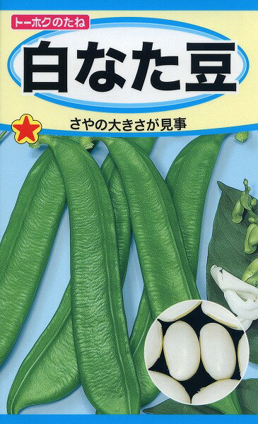 【全国送料無料】白なた豆/ トーホク 野菜 ハーブ 草花 園芸 栽培 肥料 家庭菜園 球根 苗 種まき 種子 たね タネ 植物 ガーデニング 培養土 ポット じょうろ 松永種苗 フタバ種苗 サカタのタネ タキイ種苗 ★在庫がある商品のみ12時（土日祝を除く）までのご注文で当日出荷