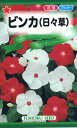【全国送料無料】 ビンカ(日々草)/ トーホク 野菜 ハーブ 草花 園芸 栽培 肥料 家庭菜園 球根 苗 種まき 種子 たね タネ 植物 ガーデニング 培養土 じょうろ 松永種苗 フタバ種苗 サカタのタネ タキイ種苗 ★在庫がある商品のみ12時(土日祝を除く)までのご注文で当日出荷
