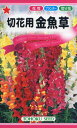 【全国送料無料】 切花用 金魚草/ トーホク 野菜 ハーブ 草花 園芸 栽培 肥料 家庭菜園 球根 苗 種まき 種子 たね タネ 植物 ガーデニング 培養土 ポット じょうろ 松永種苗 フタバ種苗 サカタのタネ タキイ★在庫がある商品のみ12時(土日祝を除く)までのご注文で当日出荷