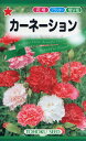 【全国送料無料】 カーネーション/ トーホク 野菜 ハーブ 草花 園芸 栽培 肥料 家庭菜園 球根 苗 種まき 種子 たね タネ 植物 ガーデニング 培養土 ポ...