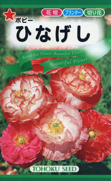 【全国送料無料】 ポピー ひなげし/ トーホク 野菜 ハーブ 草花 園芸 栽培 肥料 家庭菜園 球根 苗 種まき 種子 たね タネ 植物 ガーデニング ポット 松永 フタバ種苗 サカタのタネ タキイ種苗 …