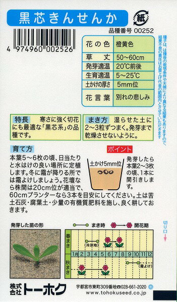 【5袋割引セット♪】【全国送料無料】 黒芯きんせんか/ トーホク 野菜 ハーブ 草花 ...