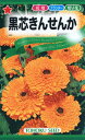 【全国送料無料】 黒芯きんせんか/ トーホク 野菜 ハーブ 草花 園芸 栽培 肥料 家庭菜園 球根 種まき 種子 たね タネ 植物 ガーデニング 培養土 ポット じょうろ 松永種苗 フタバ種苗 サカタのタネ タキイ★在庫がある商品のみ12時(土日祝を除く)までのご注文で当日出荷