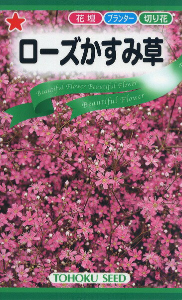 【全国送料無料】 ローズかすみ草/ トーホク 野菜 ハーブ 草花 園芸 栽培 肥料 家庭菜園 球根 苗 種まき 種子 たね タネ 植物 ガーデニング ポット じょうろ 松永種苗 フタバ種苗 サカタのタネ…