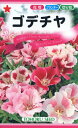 【全国送料無料】 ゴデチヤ/ トーホク 野菜 ハーブ 草花 園芸 栽培 肥料 家庭菜園 苗 種まき 種子 たね タネ 植物 ガーデニング ポット じょうろ 松永種苗 フタバ種苗 サカタのタネ タキイ 土壌改良 腐葉土★在庫がある商品のみ12時（土日祝を除く）までのご注文で当日出荷