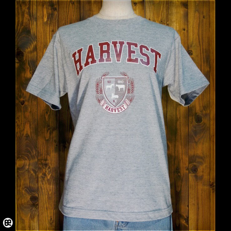 T : HARVEST : إ졼