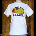 CAMELFzCgFTVc