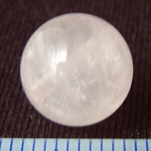 ��γ���ۥ������������ġʹȿ徽�ˡ��ݡʥ饦��ɡ�10mm��1�ġ�ŷ���Хӡ�����