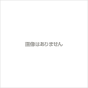 ホスクリーン 川口技研『物干し金物シリーズ』 GP型 GP-55 2本入り（設置1セット)