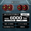auc-reiztrading:10008814のサンプル画像3