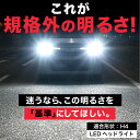 auc-reiztrading:10006005のサンプル画像2