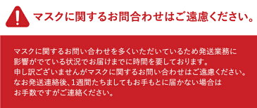 自社在庫あり マスク 50枚 耳が痛くなりにくい ソフトイヤーバンド 3層構造 不織布マスク プリーツマスク ふつうサイズ 大人用 使い捨て 定形外郵便 送料無料