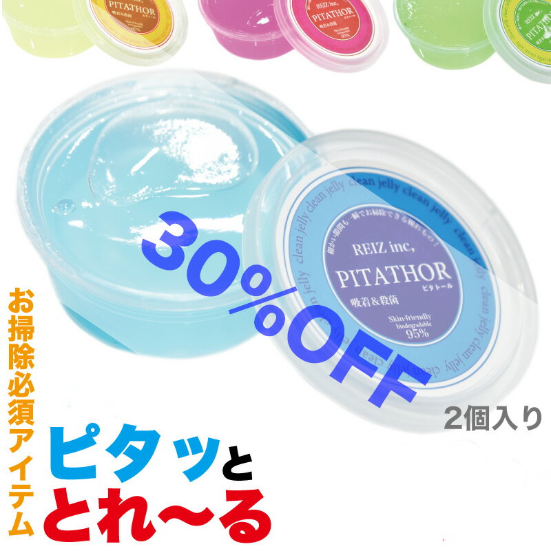 【30%OFF】 細かな隙間 ほこり 掃除 ピタトール 強力 粘着 殺菌 除菌 エアコン キーボード リモコン ゼリー状 スライム ゲル 専用ケース入り 2個入り 【メール便配送商品】 送料無料