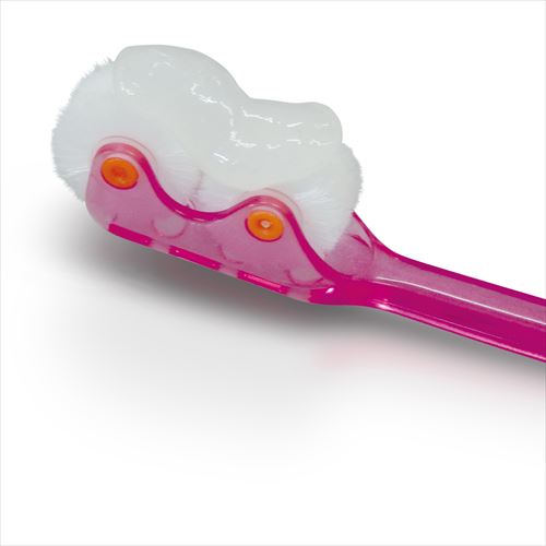 Relishの【最大2000円OFFクーポン配布中】 トーラス 国産 EM歯みがきペースト 35g （犬用）｜アングル2