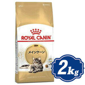 CJi CN[ Lp 2kg Lbgt[h ROYAL CANIN yKiz