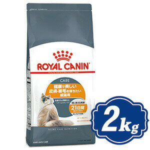 CJi wA[XL PA 2kg Lbgt[h ROYAL CANIN yKiz