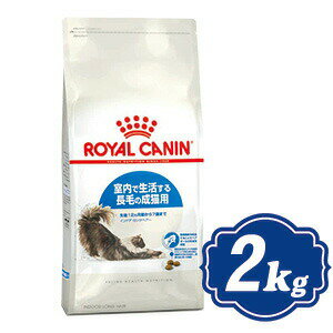 CJi ChA OwA[ Lbgt[h 2kg ROYAL CANINyKiz