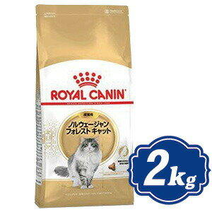 CJi mEF[W tHXg Lbg 2kg Lp Lbgt[h ROYAL CANIN yKiz